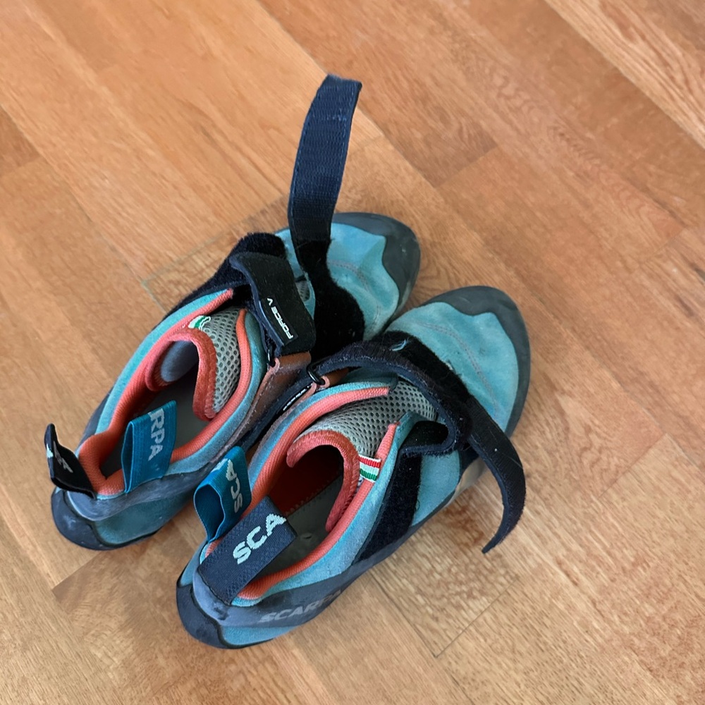 Scarpa Kids Climbing Shoes - Blue and Black